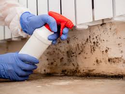 Best Asbestos and Lead Testing During Mold Inspection in Provo, UT